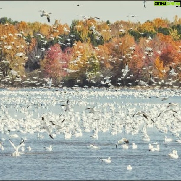 Maher Asaad Baker Instagram - If we continue on this reckless path, we invite catastrophe. Read more in: Preserving Earth’s Biodiversity for a Sustainable Future by Maher Asaad Baker via The Good Men Project #sustainable #future https://goodmenproject.com/featured-content/preserving-earths-biodiversity-for-a-sustainable-future-kpkn