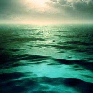 Maher Asaad Baker Instagram - The Devastating Effects of Ocean Acidification on Marine Ecosystems 

by Maher Asaad Baker via @Medium 
#oceans #marine #ecosystems 
https://link.medium.com/WgaV4Q1dOBb