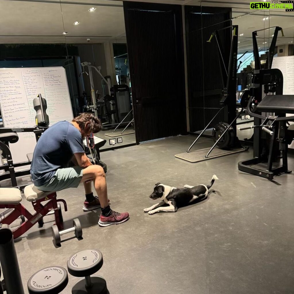 Mahesh Babu Instagram - No rest days!! When you have the cutest trainer counting your reps!! 🐶