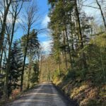 Mahesh Babu Instagram – Trekking in the Black Forest in freezing temperatures. 😎❄️ @drharrykoenig 

#BadenBaden #Nature #BlackForest