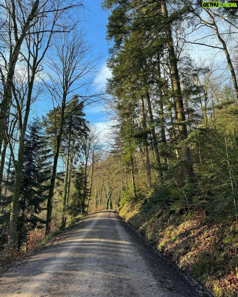 Mahesh Babu Instagram - Trekking in the Black Forest in freezing temperatures. 😎❄️ @drharrykoenig #BadenBaden #Nature #BlackForest
