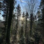 Mahesh Babu Instagram – Trekking in the Black Forest in freezing temperatures. 😎❄️ @drharrykoenig 

#BadenBaden #Nature #BlackForest