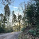 Mahesh Babu Instagram – Trekking in the Black Forest in freezing temperatures. 😎❄️ @drharrykoenig 

#BadenBaden #Nature #BlackForest