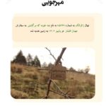 Mahnaz Afshar Instagram - 🤍 به امید اینکه این نهال ها که به همت همه ما و همکاران و دوستانم به یاد شما در زمین کاشته شد بتونه روزی نه چندان دور زمین را از سیاهی و تلخی پاک کنه۔ آقای مهرجویی گفتن از تولد شما برای من سخت ترین کار دنیاست، تولدی که پایانش سیاهی مطلق شد و بر قلب تک تک ما زخمی فراموش نشدنی به جا گذاشت۔ پایان تلخی که هرگز فراموش نمیشه. یاد استاد داریوش مهرجویی و وحیده نازنین تا ابد گرامیست «باغستان داریوش مهرجویی» در سالروز تولد ایشان، با همدلی و حمایت جمع کثیری از هنرمندان بنا شد. زنده‌یاد داریوش مهرجویی در ۱۷ آذر ماه سال ۱۳۱۸ چشم بر جهان گشودند و در تمام عمر پر بارشان همواره آثار گرانقدر ایشان چراغ راه سینمای ایران و فرهنگ ایران‌زمین بوده است. آثار پر شور و سراسر عشق به طبیعت‌شان ما را برآن داشت تا در زادروز ایشان برای گرامیداشت نام و یاد و آثار این هنرمند بزرگ و تکرار نشدنی و همسر هنرمندشان خانم وحیده محمدی فر، «باغستان داریوش مهرجویی»را در منطقه جاجرود بنا کنیم، باشد که این باغستان سبز هم همچون نام و آثارشان، به خیر و نیکی بماند برای آیندگان. . بسیار خرسندیم از اهدای ۴۰۰ نهال به زمین و سپاس‌گزاریم از جناب فرهاد فزونی گرامی و زحمات بی‌دریغ‌شان و موسسه روستا گل، که کاشت نهال‌ها و خدمات نگهداری از این باغستان را بر عهده گرفتند. یاد و نام «جناب داریوش مهرجویی و خانوم وحیده محمدی فر» همواره در دل طبیعت و همه ما سبز است و زنده و جاویدان. A tree has been planted in memory of our dear director, Dariush Mehrjui so that the land remains green in his memory.