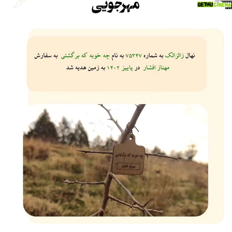 Mahnaz Afshar Instagram - 🤍 به امید اینکه این نهال ها که به همت همه ما و همکاران و دوستانم به یاد شما در زمین کاشته شد بتونه روزی نه چندان دور زمین را از سیاهی و تلخی پاک کنه۔ آقای مهرجویی گفتن از تولد شما برای من سخت ترین کار دنیاست، تولدی که پایانش سیاهی مطلق شد و بر قلب تک تک ما زخمی فراموش نشدنی به جا گذاشت۔ پایان تلخی که هرگز فراموش نمیشه. یاد استاد داریوش مهرجویی و وحیده نازنین تا ابد گرامیست «باغستان داریوش مهرجویی» در سالروز تولد ایشان، با همدلی و حمایت جمع کثیری از هنرمندان بنا شد. زندهیاد داریوش مهرجویی در ۱۷ آذر ماه سال ۱۳۱۸ چشم بر جهان گشودند و در تمام عمر پر بارشان همواره آثار گرانقدر ایشان چراغ راه سینمای ایران و فرهنگ ایرانزمین بوده است. آثار پر شور و سراسر عشق به طبیعتشان ما را برآن داشت تا در زادروز ایشان برای گرامیداشت نام و یاد و آثار این هنرمند بزرگ و تکرار نشدنی و همسر هنرمندشان خانم وحیده محمدی فر، «باغستان داریوش مهرجویی»را در منطقه جاجرود بنا کنیم، باشد که این باغستان سبز هم همچون نام و آثارشان، به خیر و نیکی بماند برای آیندگان. . بسیار خرسندیم از اهدای ۴۰۰ نهال به زمین و سپاسگزاریم از جناب فرهاد فزونی گرامی و زحمات بیدریغشان و موسسه روستا گل، که کاشت نهالها و خدمات نگهداری از این باغستان را بر عهده گرفتند. یاد و نام «جناب داریوش مهرجویی و خانوم وحیده محمدی فر» همواره در دل طبیعت و همه ما سبز است و زنده و جاویدان. A tree has been planted in memory of our dear director, Dariush Mehrjui so that the land remains green in his memory.