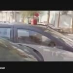 Mahnaz Afshar Instagram - بال بال زدن من از دید من اجازه کات با بازیگر نیست! اگر رامبد( کارگردان فیلم هم بود) کات نمیداد چی میشد😅 ”پسر آدم دختر حوا” رامبد جوان با حامد کمیلی عزیز #mahnazafshar #مهناز_افشار