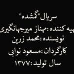Mahnaz Afshar Instagram - Are you ready حاضرین بریم خاطره بازی😉 حالا كه از ده سال پيش گفتيم، از بيست سال پيش هم بگوييم، گذر زمان و جلو رفتن هميشه اتفاق قشنگيه ... 😌 #خاطره_بازى #مهنازافشار #mahnazafshar #backtomemories #mahnazafsharmovies 😉🌻