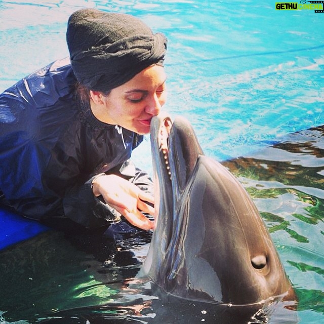 Mahnaz Afshar Instagram - #mahnazafshar #dolphin #love #kiss #wow #god
