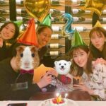 Mai Hakase Instagram - 息子が2歳になりました🥰❤️ 最近はバイキンマンがお友達でどこ行くにも一緒です😹 苺ケーキのろうそくをフーフーして消そうとしてる姿が可愛すぎました😹大好きな人たちに囲まれて嬉しそうな息子でした🥰 日々愛おしく、幸せをくれる息子に感謝❤️ #happy2ndbirthday #2歳男の子 #happybirthday ベンジャミンステーキハウス