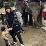 Mai Hakase Instagram - 市原ぞうの国🐘 動物との距離がものすごく近くて直接エサをあげれたりと息子も楽しそうでした😁 象さんの行進は大迫力🐘象蔵使いの方もいて象のパフォーマンスも初めて見れました☺️絵をかいたりボールを蹴ったり、とても上手で驚きました😳 妊娠後期くらいから息子と１日おでかけはなかなかできてなかったので久しぶりに一緒にたくさん遊べて嬉しかったです♡一緒にお出かけしてくれたお友達家族に感謝🥰❤️ 息子は行きも帰りも車の中でずーっと1人で喋っていたので、夜は声が枯れていましたwwそれくらい楽しかったのかな🤭 #市原ぞうのくに #男の子ママ #女の子ママ