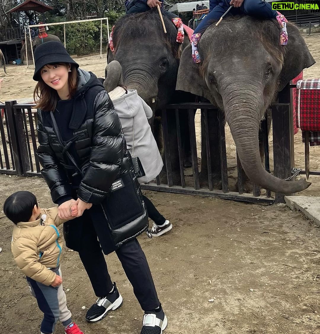 Mai Hakase Instagram - 市原ぞうの国🐘 動物との距離がものすごく近くて直接エサをあげれたりと息子も楽しそうでした😁 象さんの行進は大迫力🐘象蔵使いの方もいて象のパフォーマンスも初めて見れました☺️絵をかいたりボールを蹴ったり、とても上手で驚きました😳 妊娠後期くらいから息子と1日おでかけはなかなかできてなかったので久しぶりに一緒にたくさん遊べて嬉しかったです♡一緒にお出かけしてくれたお友達家族に感謝🥰❤️ 息子は行きも帰りも車の中でずーっと1人で喋っていたので、夜は声が枯れていましたwwそれくらい楽しかったのかな🤭 #市原ぞうのくに #男の子ママ #女の子ママ