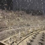 Mai Hakase Instagram - 東京大雪☃️ 東京来て18年くらい経つけどこんな大雪は初めてなきがする❄️ 息子は雪がわかるようになって初めて見たので大興奮♡ 「外行くー！」て言ってきかなかったです😅 初めてのこの寒さにもビックリしてました👦 皆様今日は道が凍ってたりするので外出の際は気をつけてください⚠️ 息子はパウパトのパジャマを毎日一日中着たがるのですが、 パウパトのエコバッグを買ってあげたら、そこに全部入れて出かけるようになりました🤭（同じパジャマ4セットもってますww）お着替えには困りません🤣 #パウパトロールグッズ