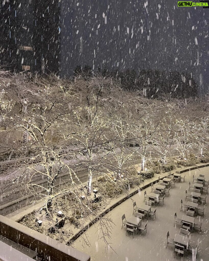 Mai Hakase Instagram - 東京大雪☃️ 東京来て18年くらい経つけどこんな大雪は初めてなきがする❄️ 息子は雪がわかるようになって初めて見たので大興奮♡ 「外行くー！」て言ってきかなかったです😅 初めてのこの寒さにもビックリしてました👦 皆様今日は道が凍ってたりするので外出の際は気をつけてください⚠️ 息子はパウパトのパジャマを毎日一日中着たがるのですが、 パウパトのエコバッグを買ってあげたら、そこに全部入れて出かけるようになりました🤭（同じパジャマ4セットもってますww）お着替えには困りません🤣 #パウパトロールグッズ