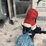 Mai Hakase Instagram - 東京大雪☃️ 東京来て18年くらい経つけどこんな大雪は初めてなきがする❄️ 息子は雪がわかるようになって初めて見たので大興奮♡ 「外行くー！」て言ってきかなかったです😅 初めてのこの寒さにもビックリしてました👦 皆様今日は道が凍ってたりするので外出の際は気をつけてください⚠️ 息子はパウパトのパジャマを毎日一日中着たがるのですが、 パウパトのエコバッグを買ってあげたら、そこに全部入れて出かけるようになりました🤭（同じパジャマ4セットもってますww）お着替えには困りません🤣 #パウパトロールグッズ