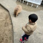 Mai Hakase Instagram - 市原ぞうの国🐘 動物との距離がものすごく近くて直接エサをあげれたりと息子も楽しそうでした😁 象さんの行進は大迫力🐘象蔵使いの方もいて象のパフォーマンスも初めて見れました☺️絵をかいたりボールを蹴ったり、とても上手で驚きました😳 妊娠後期くらいから息子と１日おでかけはなかなかできてなかったので久しぶりに一緒にたくさん遊べて嬉しかったです♡一緒にお出かけしてくれたお友達家族に感謝🥰❤️ 息子は行きも帰りも車の中でずーっと1人で喋っていたので、夜は声が枯れていましたwwそれくらい楽しかったのかな🤭 #市原ぞうのくに #男の子ママ #女の子ママ