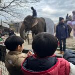 Mai Hakase Instagram - 市原ぞうの国🐘 動物との距離がものすごく近くて直接エサをあげれたりと息子も楽しそうでした😁 象さんの行進は大迫力🐘象蔵使いの方もいて象のパフォーマンスも初めて見れました☺️絵をかいたりボールを蹴ったり、とても上手で驚きました😳 妊娠後期くらいから息子と１日おでかけはなかなかできてなかったので久しぶりに一緒にたくさん遊べて嬉しかったです♡一緒にお出かけしてくれたお友達家族に感謝🥰❤️ 息子は行きも帰りも車の中でずーっと1人で喋っていたので、夜は声が枯れていましたwwそれくらい楽しかったのかな🤭 #市原ぞうのくに #男の子ママ #女の子ママ