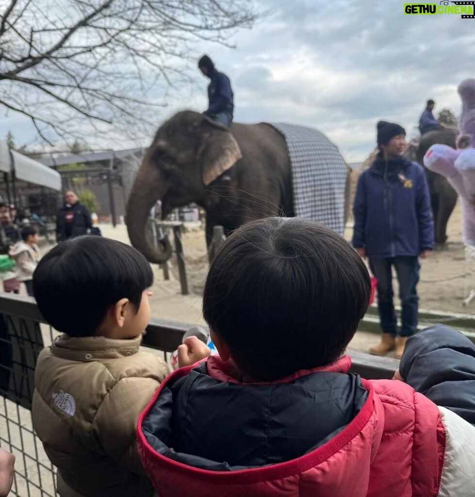 Mai Hakase Instagram - 市原ぞうの国🐘 動物との距離がものすごく近くて直接エサをあげれたりと息子も楽しそうでした😁 象さんの行進は大迫力🐘象蔵使いの方もいて象のパフォーマンスも初めて見れました☺️絵をかいたりボールを蹴ったり、とても上手で驚きました😳 妊娠後期くらいから息子と１日おでかけはなかなかできてなかったので久しぶりに一緒にたくさん遊べて嬉しかったです♡一緒にお出かけしてくれたお友達家族に感謝🥰❤️ 息子は行きも帰りも車の中でずーっと1人で喋っていたので、夜は声が枯れていましたwwそれくらい楽しかったのかな🤭 #市原ぞうのくに #男の子ママ #女の子ママ