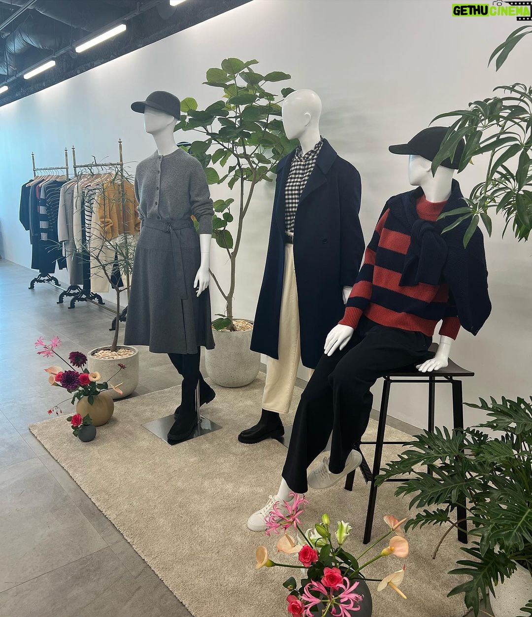 Mai Hakase Instagram - 先日「UNIQLO and JW ANDERSON」と「UNIQLO and COMPTOIR DES COTONNIERS」23FWシーズンの合同展示会に行ってきました☺️ちょうど今発売していて、あたたかなセットアップやセーター、ワンピースをゲットしたよ🩷あゆむとおそろで何を着ようかと真剣に悩んだ🤭 UNIQLOのいつもとはまた違うオシャレなデザインにUNIQLOならではの着心地の良さもあってこの冬かなりつかえそうです☺️✌️ #UNIQLO #UNIQLOコーデ #jwundersonxuniqlo #comptoirdescotonniers