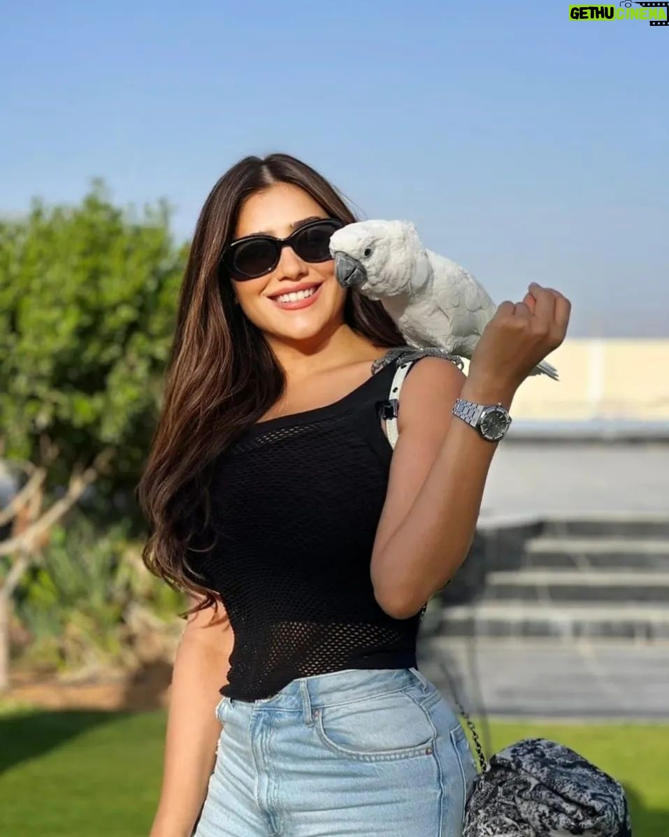 Mai Omar Instagram - Sometimes your best friends don't even have to be human 🦜 Sharjah, United Arab Emirates