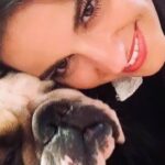 Maite Perroni Instagram - Uffffffff 💔 si que duele !!! Cómo no me van a hacer falta mi gordo y sus ronquidos que se hacían sonar sin consideración… cómo no extrañarte Sancho hermoso si solo sabías dar amor ❤️ tengo el corazón partido en mil cachitos, ojalá q tu alma sepa cuánto te amo y cuánto te extraño 🙏🏻 espero que hayas sido muy feliz con esta familia q se derretía de amor por ti! Gracias por tu amor incondicional y por ser ese corazón con patas 🐾 que desde que llego a mi vida me hizo feliz. Te amo Sancho panzón para siempre por siempre. Vuela alto y espero poder abrazarte nuevamente y sentir el peso de tu cabeza sobre la mía al despertar. CDMX