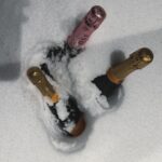 Maki Tamaru Instagram - 久しぶりの ⛷️ 多分 明日は 筋肉痛。。。いや 筋肉痛は 明後日かも、、、、 まさかの明々後日？。 歳を重ねると、筋肉痛の来るタイミングが読めない😂 とりあえず今夜は🎄 クリスマスソングとシャンパン🥂で 冬休みらしい 冬休みを過ごそう そして、まずは 芯から冷えた体を あっためよう。 長男🦕、頭の中は 相変わらず🤺か⛷️ 次男🦖は何してるかよくわからんが、、、 ひたすら右に左にと暴れている。。。 全く勉強しない我が家の恐竜たち 遺伝やから しゃーないか。。。 🤪 #悟りの境地