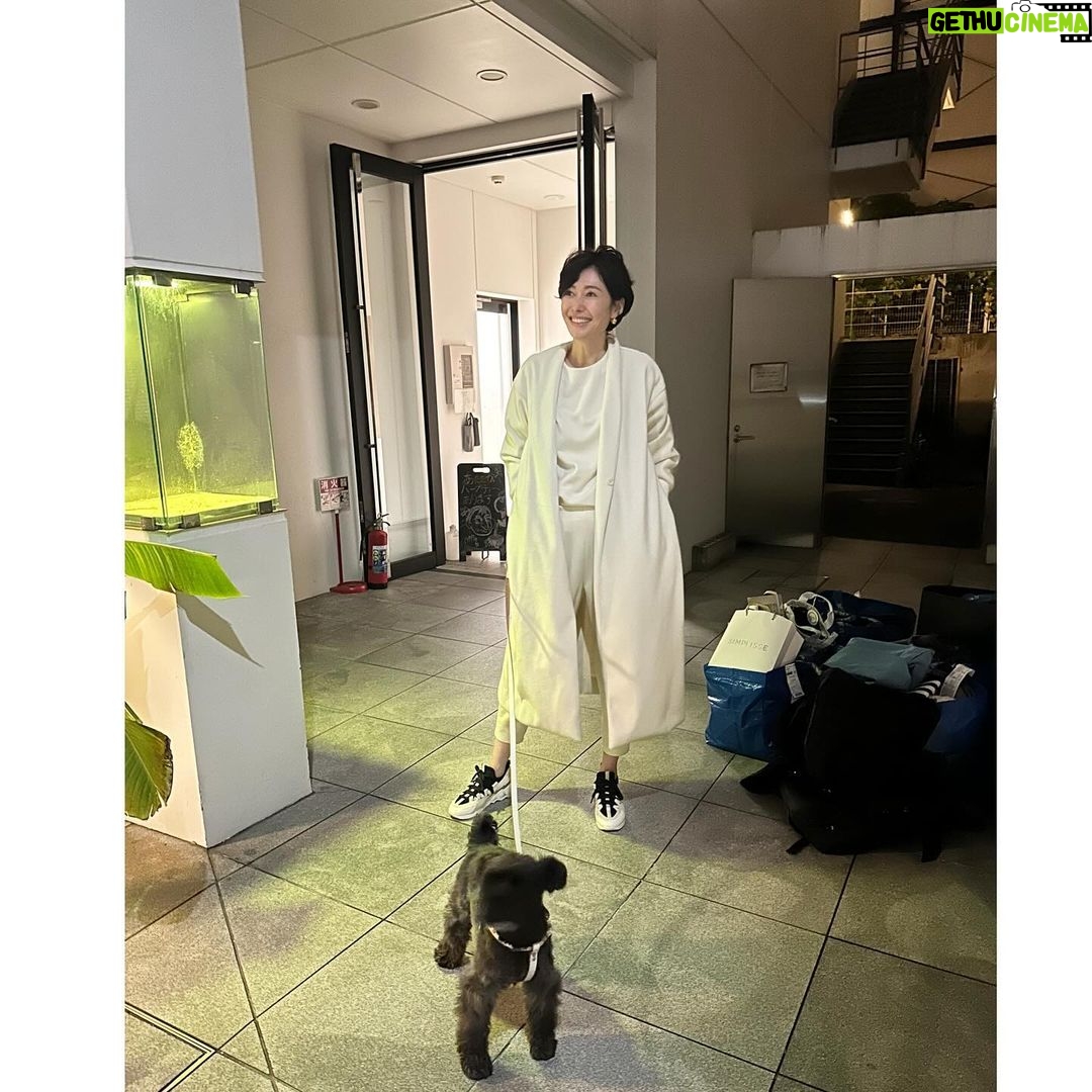 Maki Tamaru Instagram - 最近のお洋服 赤コートは @kolorofficial 3枚目のアウターは @sacaiofficial パンプスは @pellico_japan 4枚目は セットアップホワイト コートは @ade_tamarumaki スニーカー @pierrehardy 5枚目写真は @poloralphlauren LAUREN PURPLE LABEL 6枚目写真は ワンピース @sacaiofficial 7枚目写真のコートは @anteprima_japan #私服 #衣装 #最近のお洋服 #今日も天気よし! #冬コーデ