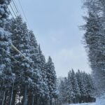 Maki Tamaru Instagram - 久しぶりの ⛷️ 多分 明日は 筋肉痛。。。いや 筋肉痛は 明後日かも、、、、 まさかの明々後日？。 歳を重ねると、筋肉痛の来るタイミングが読めない😂 とりあえず今夜は🎄 クリスマスソングとシャンパン🥂で 冬休みらしい 冬休みを過ごそう そして、まずは 芯から冷えた体を あっためよう。 長男🦕、頭の中は 相変わらず🤺か⛷️ 次男🦖は何してるかよくわからんが、、、 ひたすら右に左にと暴れている。。。 全く勉強しない我が家の恐竜たち 遺伝やから しゃーないか。。。 🤪 #悟りの境地