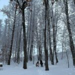 Maki Tamaru Instagram - 私が恋をした、北海道旭川 ご質問をいただいていたので 写真とともに、お返事していきたいと思います 相方さんが、どうしても行きたいと楽しみにしていた 回転寿司屋さん トリトン　行列ができていて 雪降る中並び、行ってみて大正解✨ お店の中は、とても活気があって、種類もメニューも豊富で、1品1品とてもおいしかったです♪ 今回、私たちが1週間ほどお邪魔したのは 旭川の東桜岡と言うエリアから美瑛のエリアでした。 景色が美しくて、その景色を見るのが毎朝、毎晩楽しみで 早起きするぐらい！ そして 毎朝窓際に遊びに来てくれるリス🐿️さんに目がハート♡。 北海道ではマイナス10度を超える日もあったりしたので ムーレ　@moorer_official のダウンの凄さをかなり体感。 内側にファスナーがあり ダブルで防寒できるような作りになっていて🥺 ほんとに助けられました🙏 今回、お邪魔したスキー場は カムイスキーリンクススキー場です！ 写真を探したのですが、見つからなくて😭めちゃくちゃ残念でしたが、こちらのスキー場の NOBu といったかな？ラーメンが美味しかったです。 カムイスキー場には カムイスキースクール⛷️という スキースクールもあって皆さん優しくて アットホームなスクールです✨。 子供たちは、それぞれのレベルの場所をそれぞれに滑るので 基本的には私は1人のぼっちスキー（ーー；）⛷️。 そして、長男が帰ってくるのを 下で待つといった流れです （待つのが退屈になったときには、汗を流す勢いで必死に雪だるまを作ったりして　⛄️ 時間をつぶしておりました。笑） 旭川時間では 旭川駅前にあるイオンモールにも 大変お世話になりました✨ イオン内にある五穀と言う 釜でご飯を作ってくれる、定食スタイルの和食屋さんは 気に入って2連ちゃんしました⭐️⭐️⭐️ 以前のインスタライブでもふわりと 旭川について触れましたが 写真とともに　旭川時間をアップしてみました。^_^ また、雪景色の雰囲気はがらりと変わりますが 蔵王の樹氷景色も、まるで映画の世界✨ 今世見たい景色リストの中の１つでもあった 山形の蔵王の樹氷！ 子供たちと感動を共有できて、貴重な体験となりました。 近くに温泉街もあったりと とても👌♡ 日本には素晴らしい感動を与えてくれる場所や、事や景色、 文化、食、おもてなし、人、学びなどなどなど　 たくさんのスペシャルが存在するんだな〜と しみじみと思う。🙏 私の友達たちがみんな面白かったと言う IWANAI RESORT にも行ってみたい^ ^が 私の⛷️レベルだとまだまだ先だろう。。。