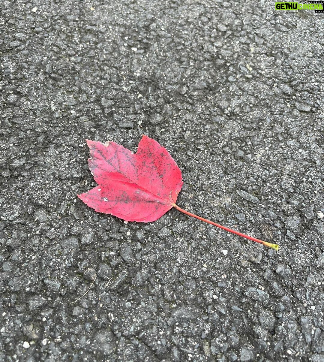 Malaika Arora Instagram - My most favourite time of the year β¦β¦ all things redβ€οΈπβ£οΈπ ππ§£ππ§°π«πΉππποΈ