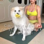 Malaika Arora Instagram – Always killing it, this one ♥️
Starting the week off with some fun cardio and a dose of Casper’s energy ☺️💪
.
.
.
#malaikaarora #dogsofinstagram #dogoftheday #doglover
