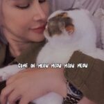 Manaswee Krittanookul Instagram - My Roxy 🐱 #cat