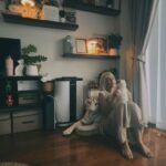 Manaswee Krittanookul Instagram - Hey… just breathe… #me #home