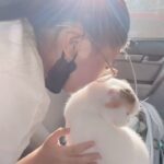 Manaswee Krittanookul Instagram - Roxy the Cat 🐱