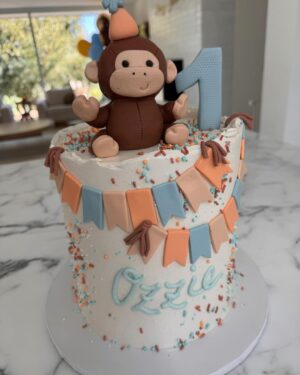 Mandy Moore Instagram - Turns out 1 is NOT the loneliest number when you have family like this to help you celebrate your birthday! And surprise, surprise- Ozzie LOVED @danielle_keene’s delicious (and adorable) chocolate and vanilla cake. Happy Bday, Ozzie!!