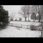 Mandy Moore Instagram - In December of 2008, deep in the snowy quiet of Medford, Massachusetts, I started a record called “Amanda Leigh” with my buddy @themikeviola (we wrote the whole thing together) at his dear friend Ducky Carlisle’s home studio. We hunkered down for most of December and the first chunk of January tracking the album. Mike and Ducky handled every instrument (Duck was a pretty monster drummer and Mike played everything else of course). We stayed in the house while we were recording, a glorified summer camp experience of sorts, scrambling down for Mike’s egg sandwiches and coffee in our pjs (and never changing out of them because we were just in the basement making music). Making that record changed me. It was already such a big step- a kind of weird musical swing for me but the process of recording it with Mike and Ducky instilled this confidence in me that I’ve somehow carried with me ever since. I look back on that time with so much fondness and affection. Ducky was really one of one. Hearing stories about his life, his deep, deep love of music and the way it was made… his insane sense of humor. Man. He was a hard one to pin down and we kept in touch over the years via email and he even came to our show in Boston last summer. It was so lovely to catch up and introduce him to Taylor and shout him out from the stage. When I found out he had passed, I found our record and listened with my headphones on and a BIG smile on my face (long story, it’s not online but you can find it on YouTube. It’s really cool- go listen!!) We will miss, Ducky. Always in our hearts. Xoxoxo