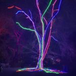 Mandy Moore Instagram - Last few days…..