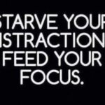 Mandy Teefey Instagram - Nothing deserves your focus and your passion more then your most audacious projects. The projects that envelope you and there is no way out but to succumb to it with all your heart. F*** distractions, if they don’t uplift you they are there to distract you, if you have to figure it out, it’s there to distract you. Planting neferous seeds in the middle of your goals to delay the growth of you true potentional. 2021 is coming and we are very hopeful but stay FOCUSED and you will make it no matter what 2021 has in its back pocket. XO
