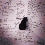 Mandy Teefey Instagram - High five to live this life!! What is the story behind this famous scientist and theory that this picture represents?? XO