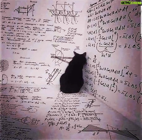 Mandy Teefey Instagram - High five to live this life!! What is the story behind this famous scientist and theory that this picture represents?? XO