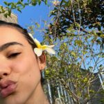 Manu Gavassi Instagram - Se expor de menos por aqui é uma benção e uma maldição. Uma benção porque deixa a vida mais leve e mais de verdade. Uma maldição porque sinto que gera margem pra percepção externa de que eu me importo de menos, quando eu sou do tipo que se importa demais. Com propósito, com as pessoas que contam comigo, com a luz, com a vida. Há dois meses eu olhei pra essa árvore aqui de casa e ela tava sem flores. Feia. Eu achava pelo menos. E há dois meses eu coloquei no papel o que seria meu próximo projeto. Há dois meses enquanto pensava nesse projeto, olhava essa árvore sem flores, eu lia uma página de um livro sobre criatividade. Uma que fala sobre natureza. Entender e respeitar a natureza, o tempo dela de florir. Ontem eu terminei esse projeto. Muito medo, ansiedade e incertezas mas o propósito sempre mais alto. Fazia tempo que não tinha tempo de subir e olhar a árvore. Ela tá toda florida. Assim como eu. Como esse meu projeto. O tempo das coisas é perfeito, mesmo quando a gente não entende ou quer desrespeita-lo, o nosso tempo de entendimento, de estudo, de realização, de se mostrar pro mundo, é igual a natureza. Que doido, né? Sigo rouca e com alergias no corpo (marcas do processo de quem se importa demais) mas sigo sendo eu, verdadeira com meus sonhos e minhas vontades. E sigo cada vez mais corajosa. 💛