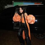 Manu Gavassi Instagram - Styling por mim mesma e meu armário repleto de preciosidades para diversas ocasiões incluindo shows em festivais e beleza anos 70 com sobra azul (estilo maxxxine ou Tully depende da sua ref) por @casagrandegui 🖤 Fotos por @alli.zao