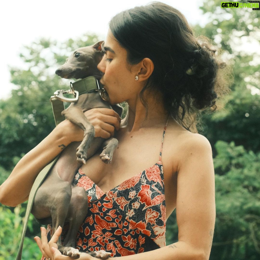 Manu Gavassi Instagram - Magnólia trazendo alegria, amor, caos e amor de novo! 🤍