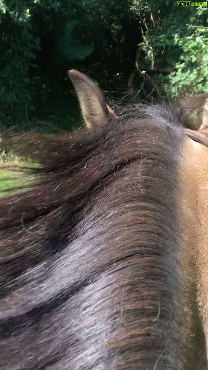 Manuela Lopez Instagram - #horse #balade #galop #respire #lavieestbelle