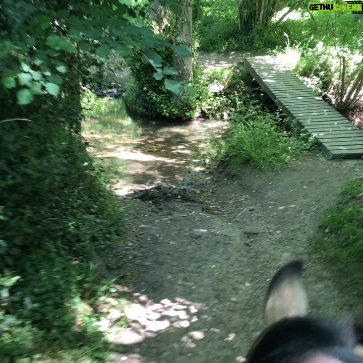 Manuela Lopez - 1.3K Likes - Une balade avec moi ? 😁🤪🥰🦄#horse #balade #vie #respire