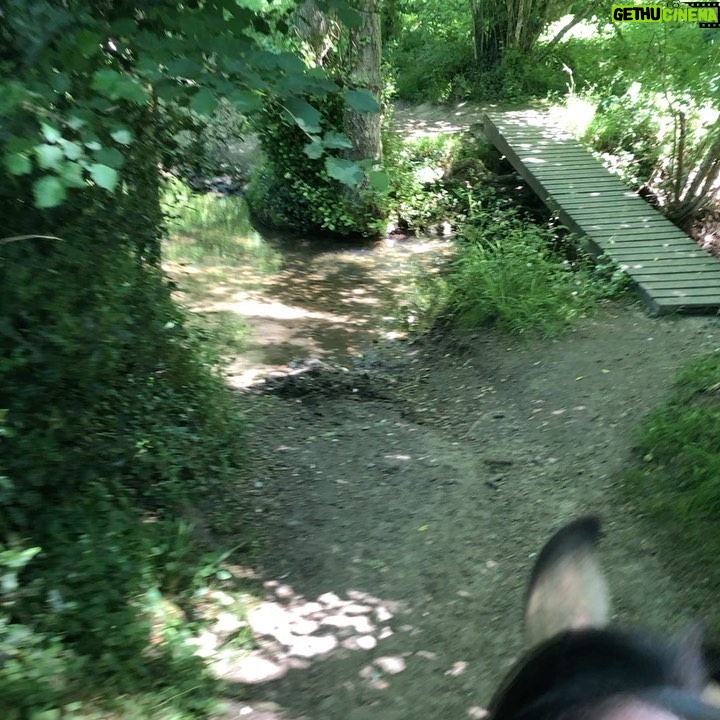 Manuela Lopez Instagram - Une balade avec moi ? 😁🤪🥰🦄#horse #balade #vie #respire