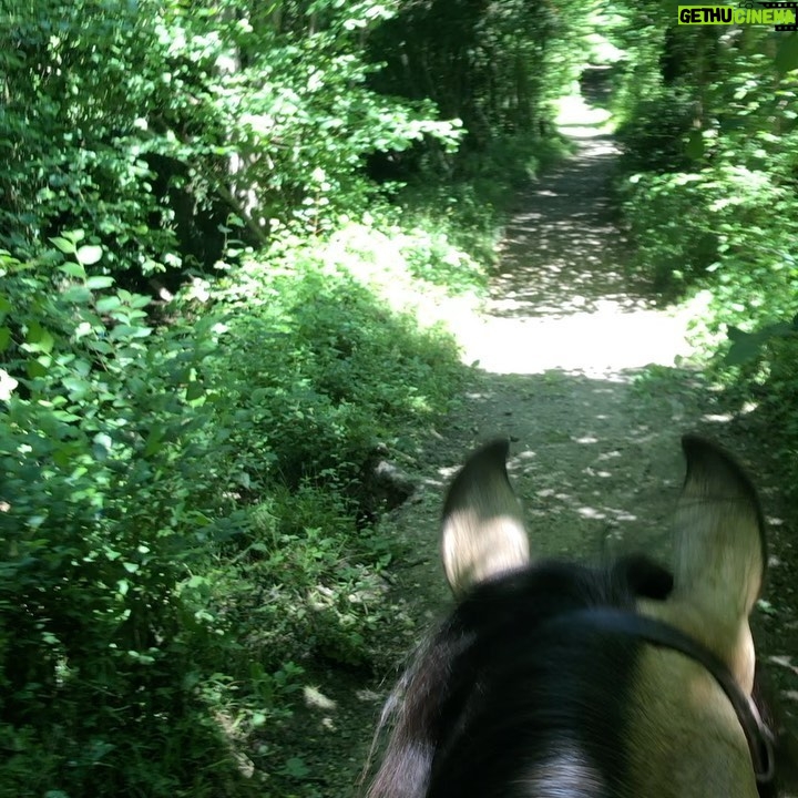 Manuela Lopez Instagram - Une balade avec moi ? 😁🤪🥰🦄#horse #balade #vie #respire