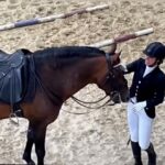Manuela Lopez Instagram - Nouveau challenge !! Concours dressage pour les Master des chevaux Ibériques MCI 🦄merci mon cheval magique d’être toujours enthousiaste et aussi généreux 💝 je vous jure j’ai mis tout mes cheveux dans ma bombe !!!😁😅😜