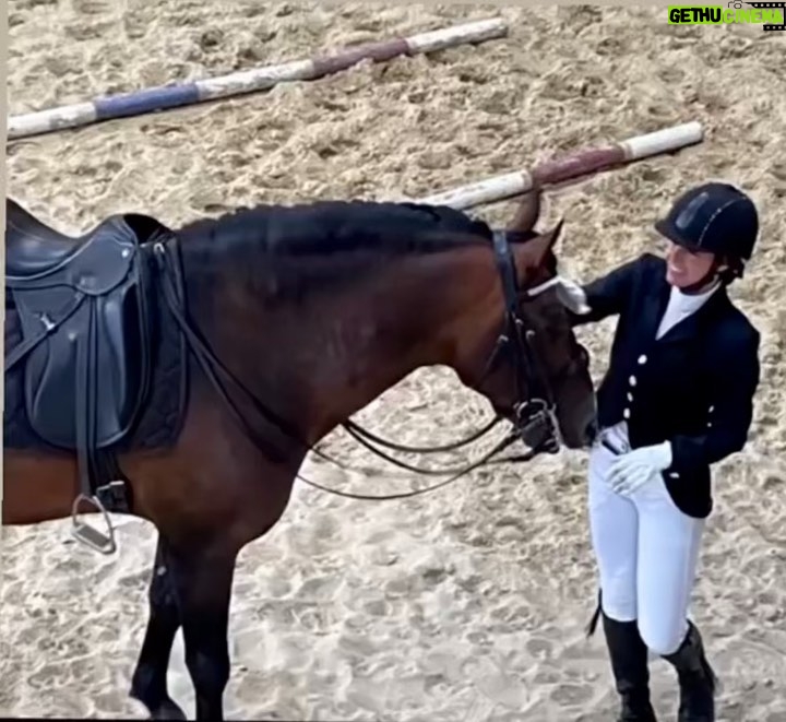Manuela Lopez Instagram - Nouveau challenge !! Concours dressage pour les Master des chevaux Ibériques MCI 🦄merci mon cheval magique d’être toujours enthousiaste et aussi généreux 💝 je vous jure j’ai mis tout mes cheveux dans ma bombe !!!😁😅😜