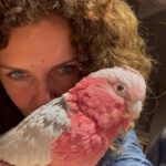 Manuela Lopez Instagram - #rosalbin #perroquet #loveislove @davylelair !!; je crois qu’il te traite de connasse quand tu passes derrière 🤣🤣🤣