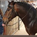 Manuela Lopez Instagram – Un petit Coucou pendant mes petits moments de mieux , ma médication préférée , mon Kiri 🦄💙, mon cheval magique qui prend soin de moi , m’aide psychologiquement et physiquement.. Ce don, cet instinct qui fait l’empathie et la douceur animale sans chichi juste bienveillance.. C’est dingue ce que les animaux peuvent nous offrir avec leur cœur quand ils nous sentent fébrile.. #monbonheur #cheval #happymoments